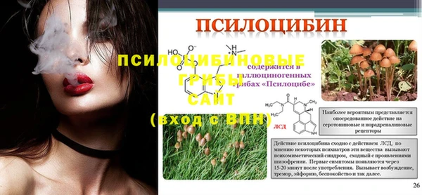 амф Абинск