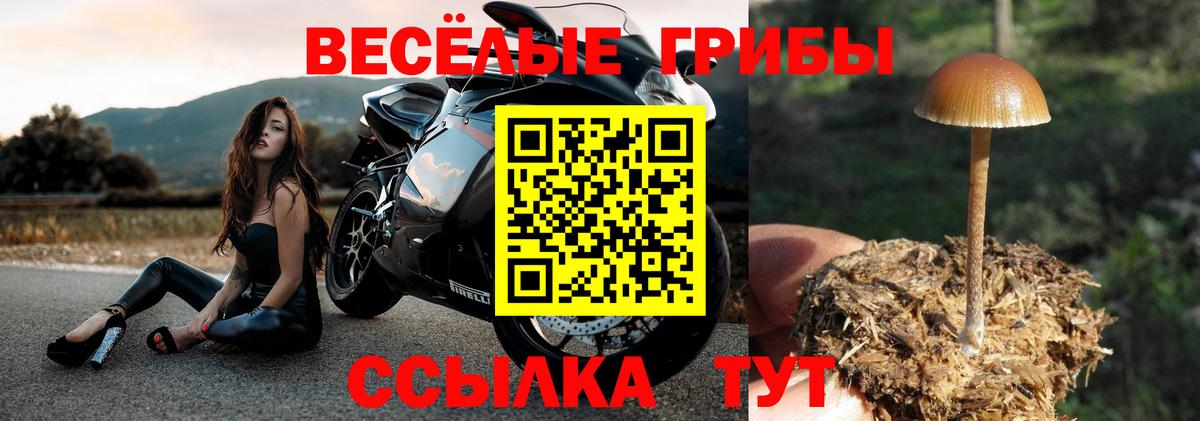 Галлюциногенные грибы прущие грибы  Вход с VPN  как найти закладки  Касимов 